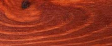 Bosque Rojo