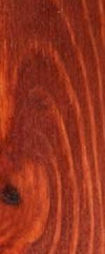 Bosque Rojo