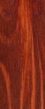 Bosque Rojo