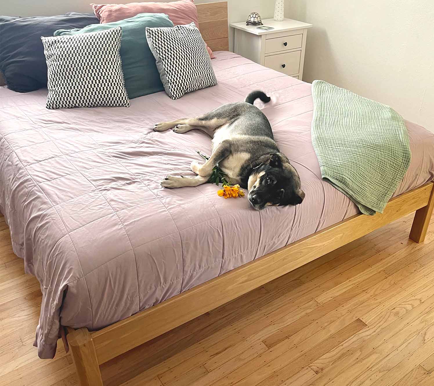 Maderas cálidas para estilos de dormitorio principal