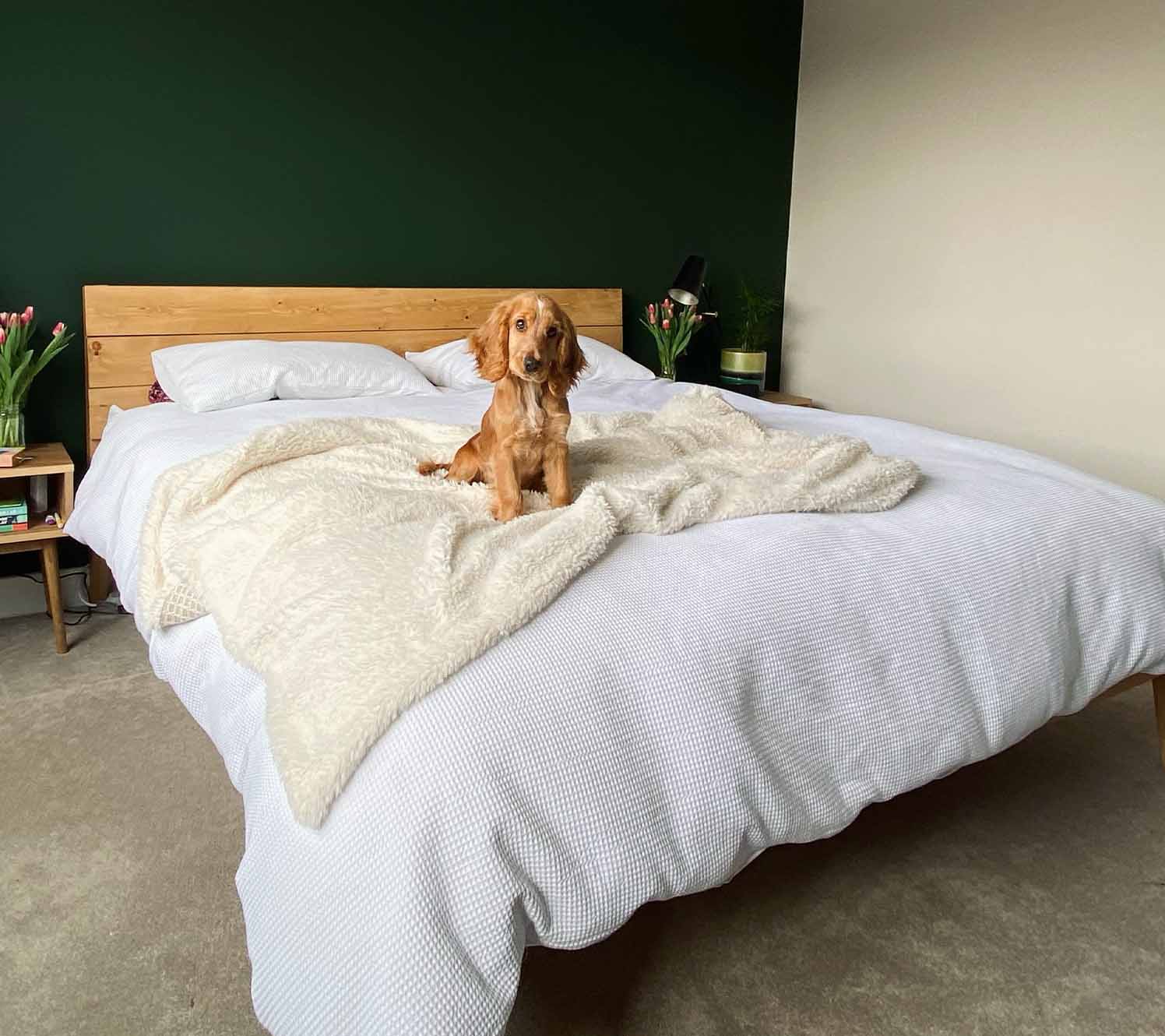 Tonos oscuros e ideas temáticas para el dormitorio principal