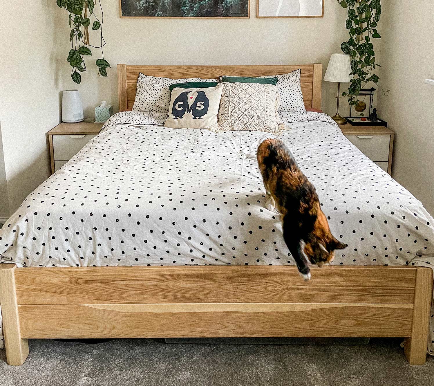 Colores claros e ideas de decoración para dormitorios largos.